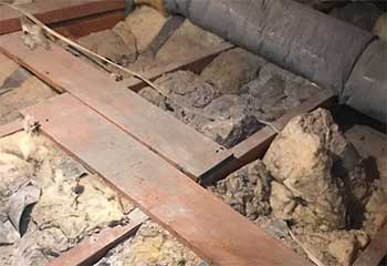 Attic Cleaning Project | Attic Cleaning Daly City, CA Attic Cleaning Project | Attic Cleaning Daly City, CA