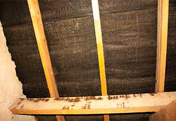 Insulation Removal Services | Attic Cleaning Daly City, CA Insulation Removal Services | Attic Cleaning Daly City, CA